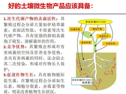 分享 茶园生态健康管理技术 ppt课件