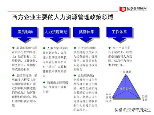 知名咨询公司客户案例 100页人力资源管理的全面提升,系统完整